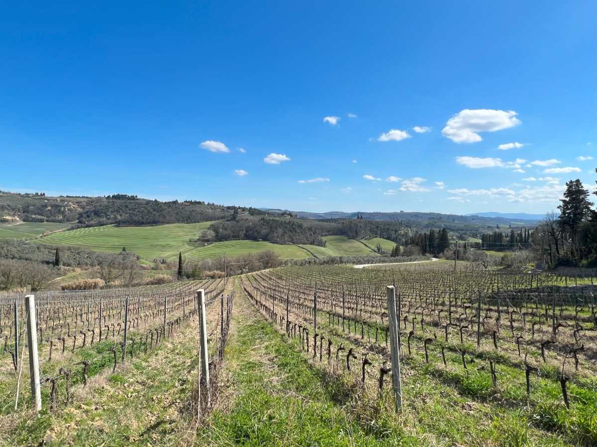 Valdelsa Certaldo - località Betto di Enrico Rugi