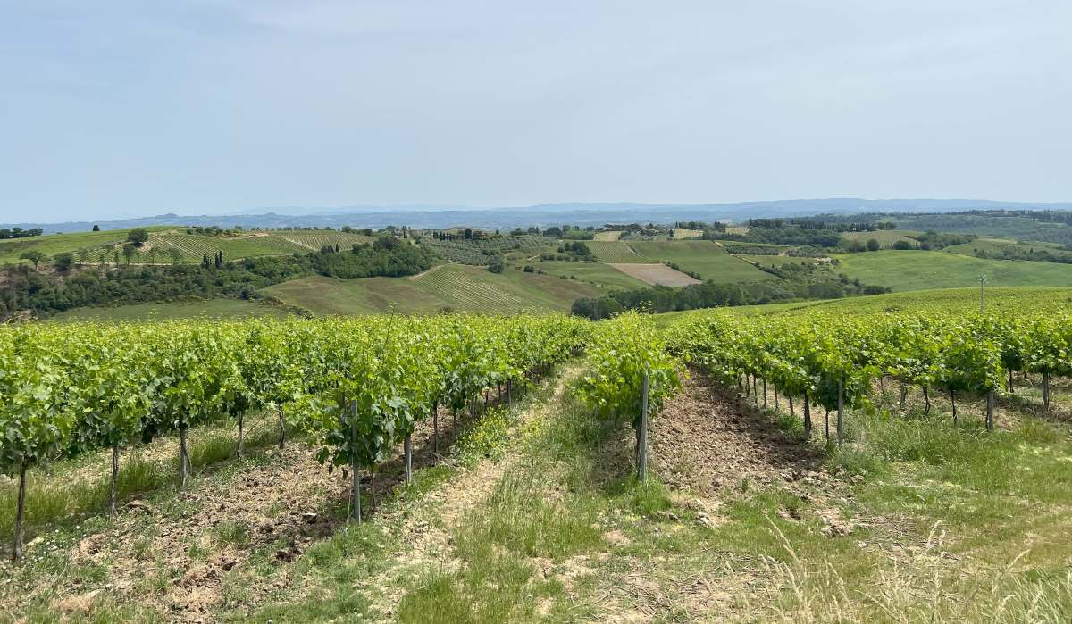 Valdelsa Gambassi - Via Francigena verso San Gimignano di Enrico Rugi