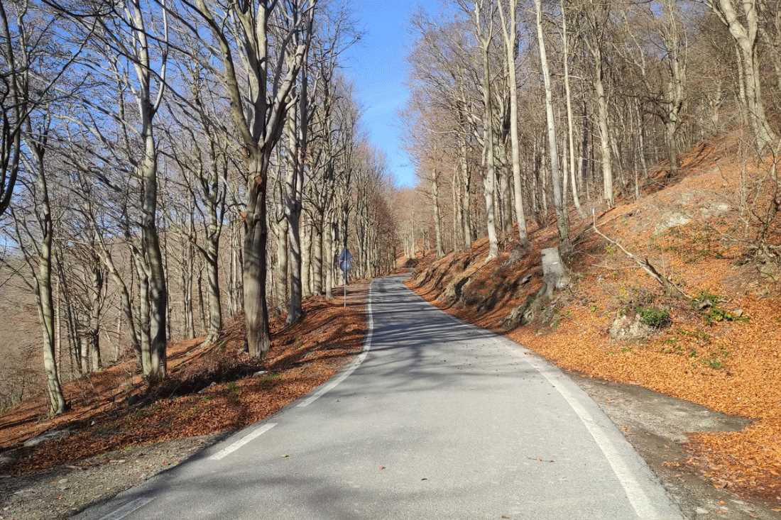 Liguria in bici Salita Colle del Melogno