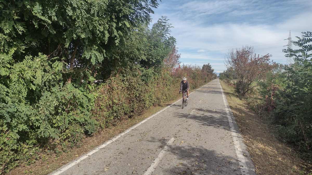 Via delle Risorgive (8) crediti Davide M