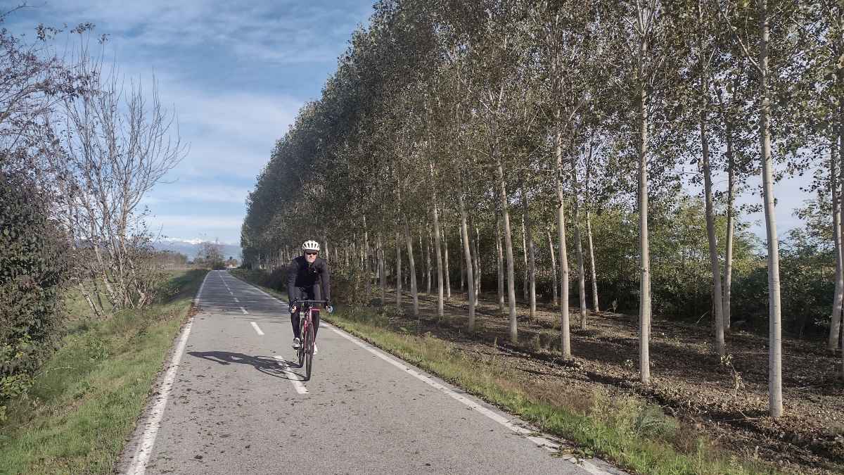 Via delle Risorgive - crediti Davide Mazzocco
