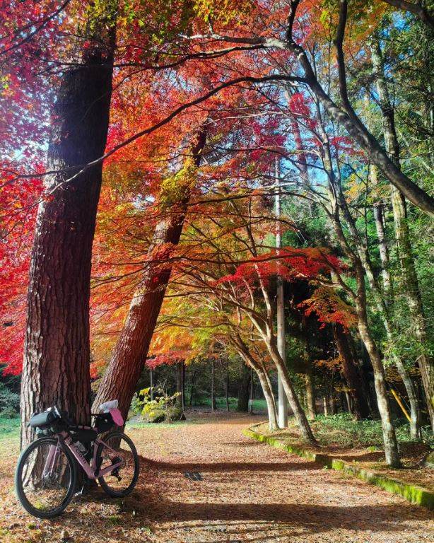 vicino tsumago Giappone in bici crediti Caterina Zanirato