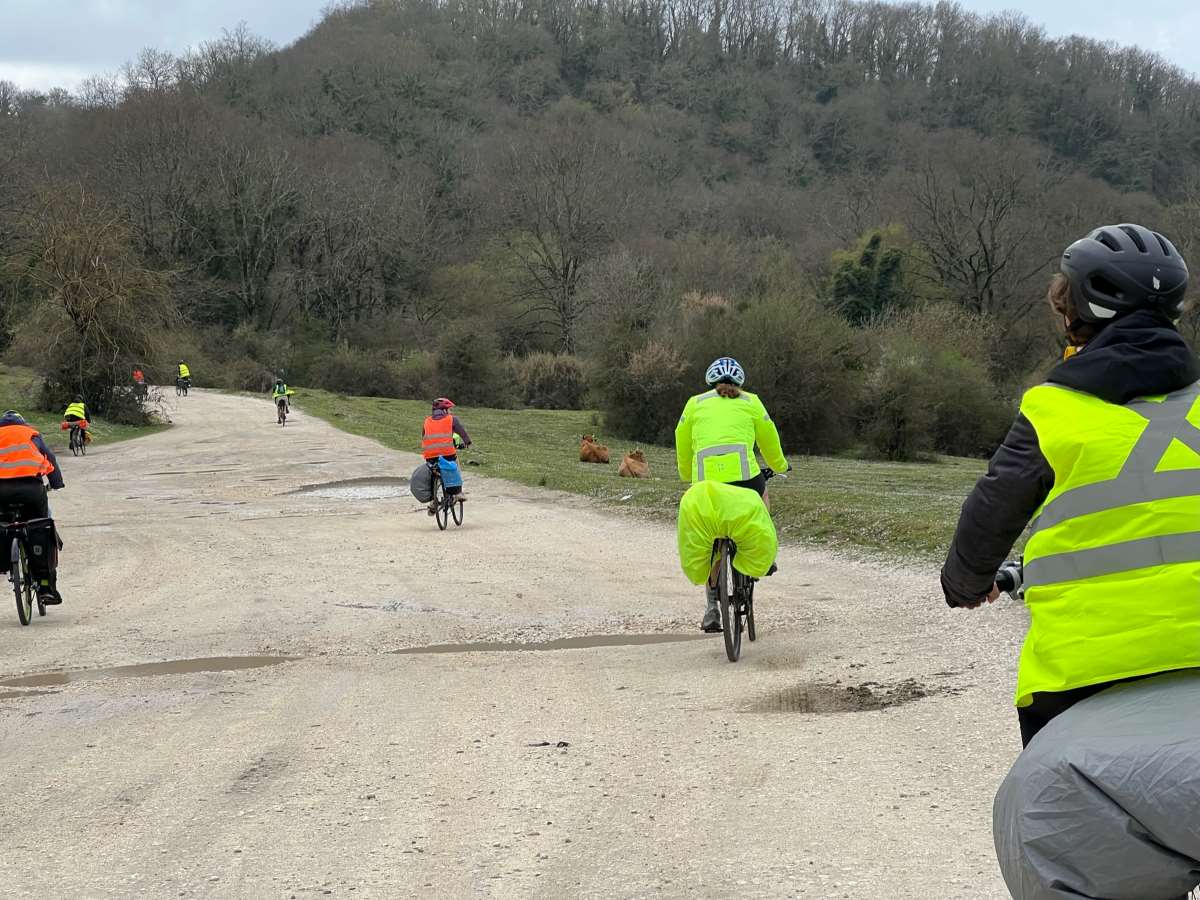 Adolescenti in bici di Luciano Coluccia