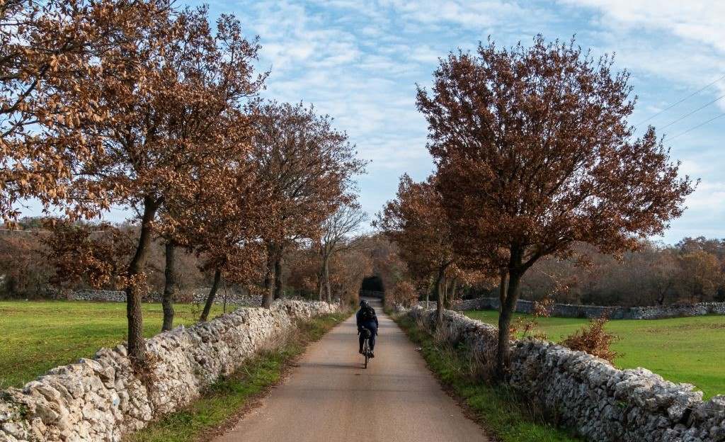 Silvia Camon Puglia
