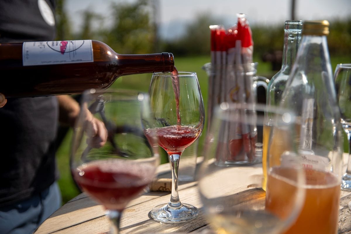 I vini del Pinerolese ©Paolo Ciaberta