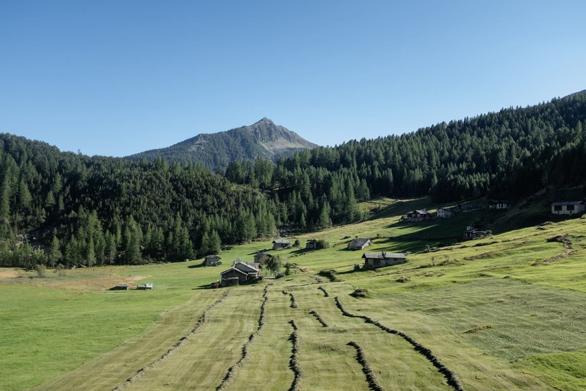 Valmalenco, crediti di Lorenzo Scarpellini