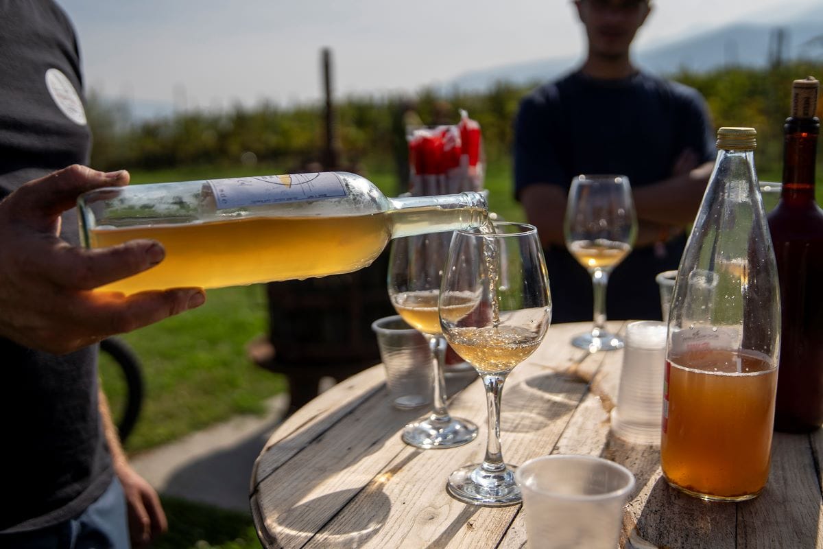 Piemonte Anello Pietra Luserna Paolo Ciaberta Degustazione