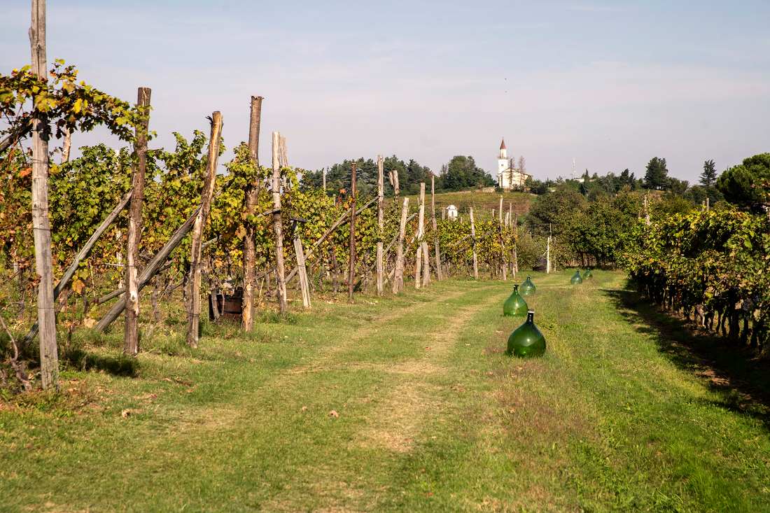 Piemonte Anello Pietra Luserna Paolo Ciaberta Vigna