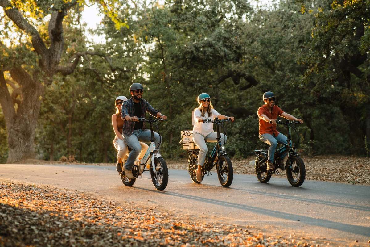 credits Lectric eBikes
