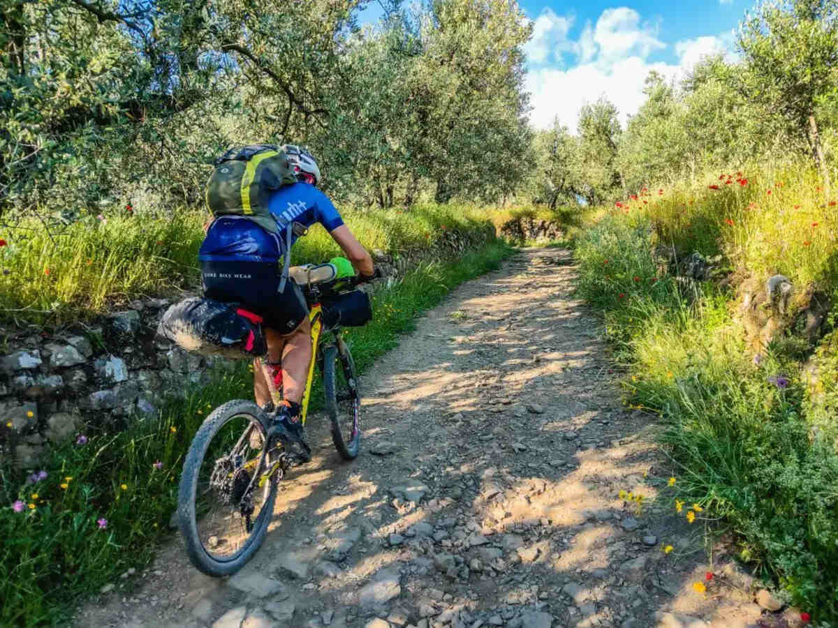 Trail in bikepacking