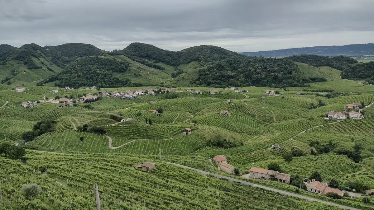 Veneto Cartizze di Davide Mazzocco