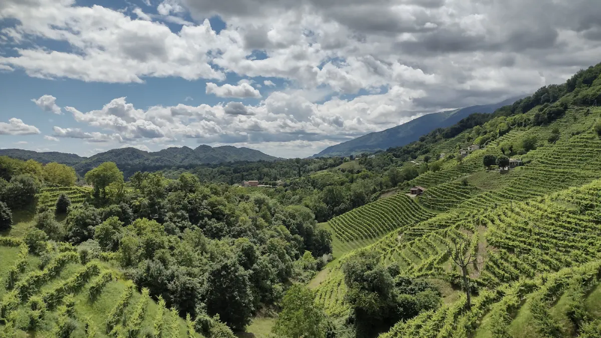 Veneto Rolle di Davide Mazzocco