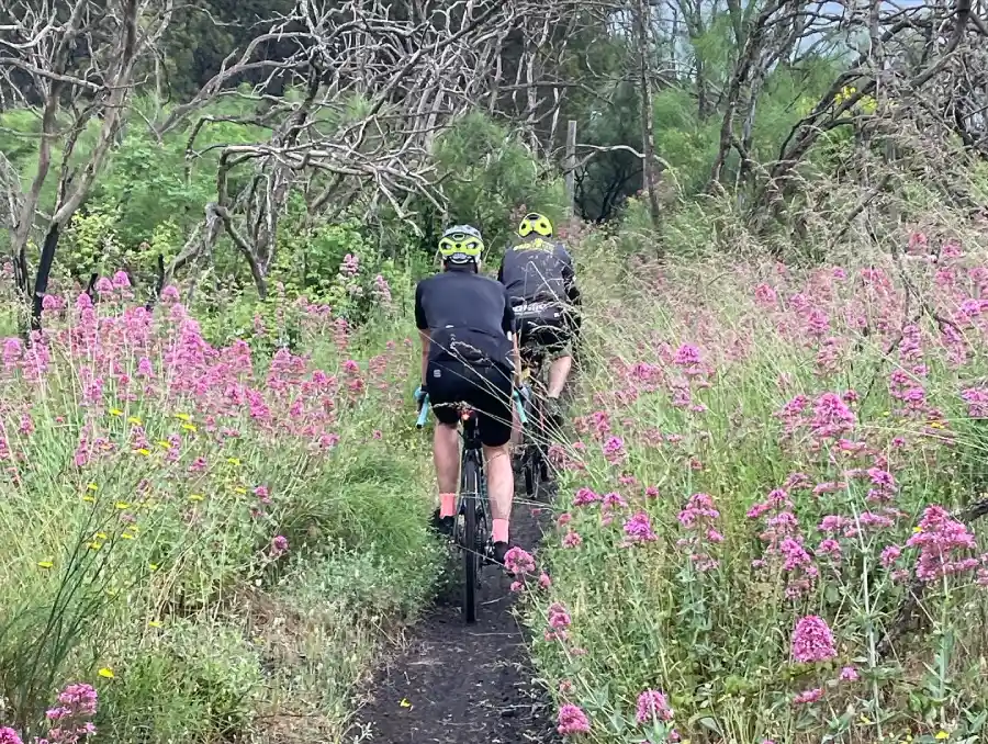 Sentieri avventurosi scoperti grazie alla bici gravel