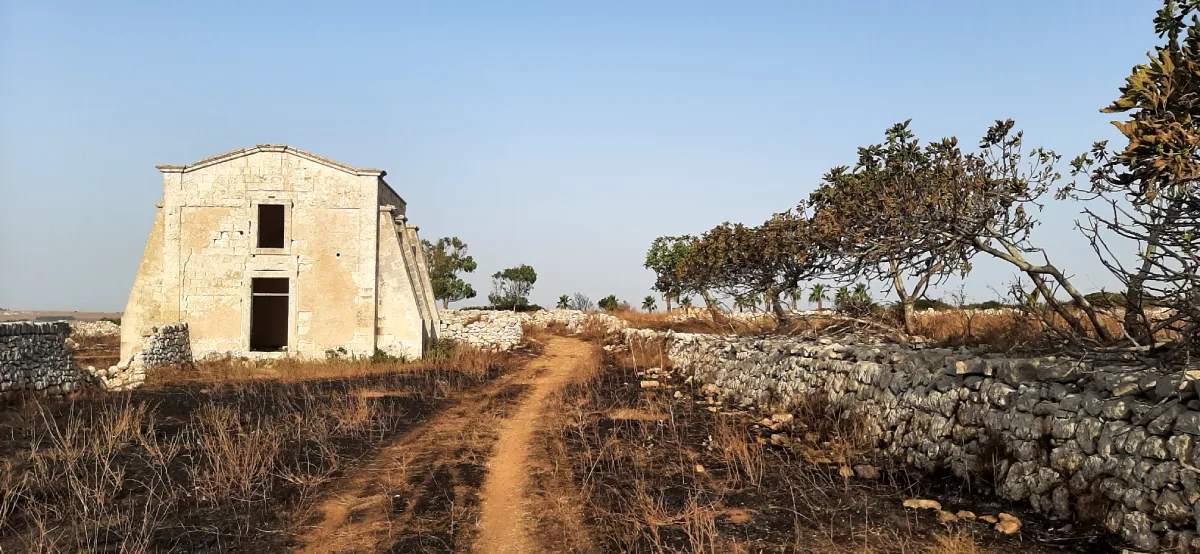 Salento Trail crediti Luciano Coluccia