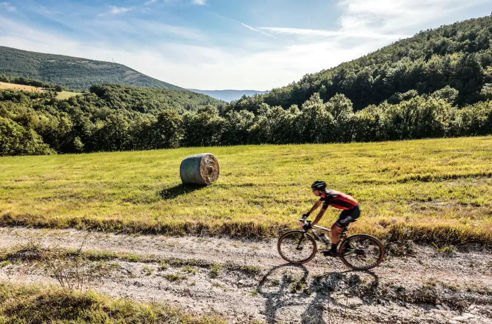SpoletoNorcia_MTB_campagna