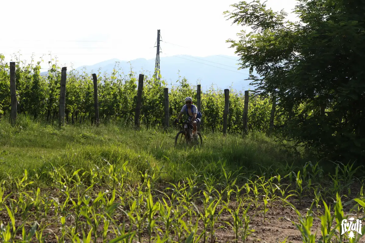 Inchino al Friuli, crediti Marco Fantini