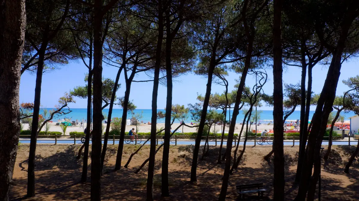 Abruzzo. Bike to Coast, pineta ad Alba Adriatica