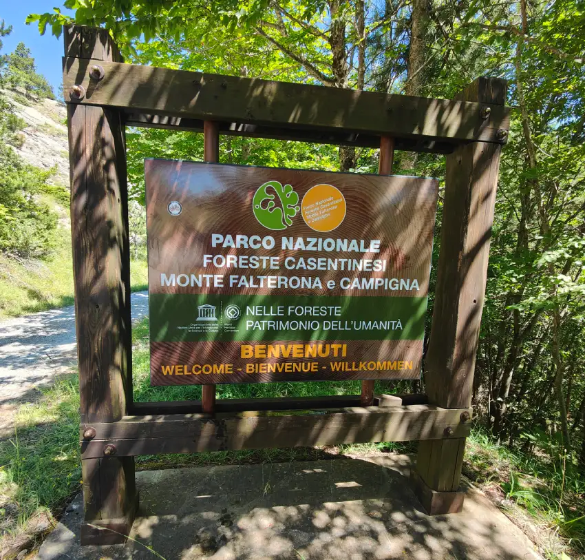 Foreste Casentinesi