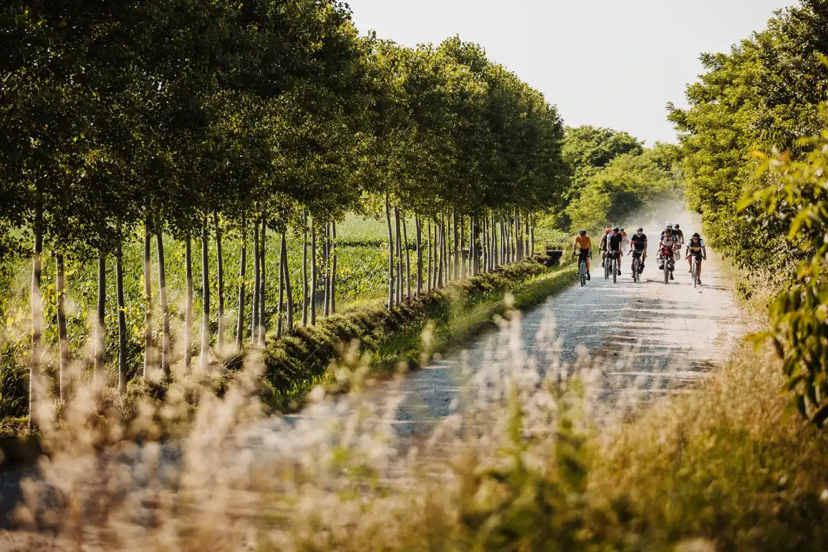 In bici nel mantovano - Mantova (crediti BAM)