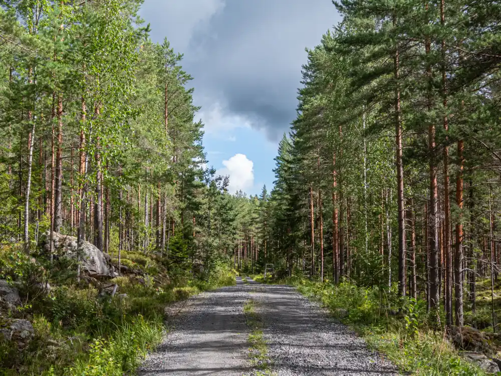 Finlandia bici Camon