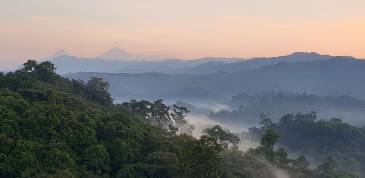 Ruanda Paese delle Mille Colline - Visit Rwanda