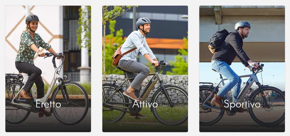 la scelta della mia prima ebike