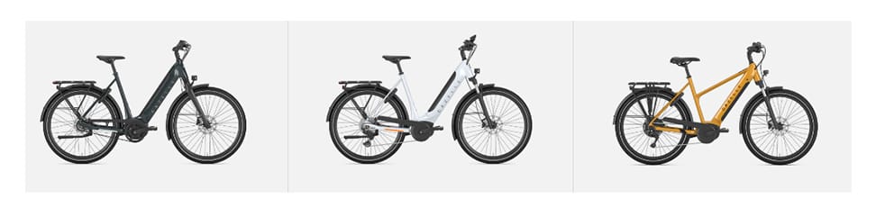 scelta ebike