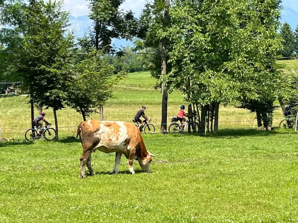 Veneto Val Belluna Anelli Cicloturismo