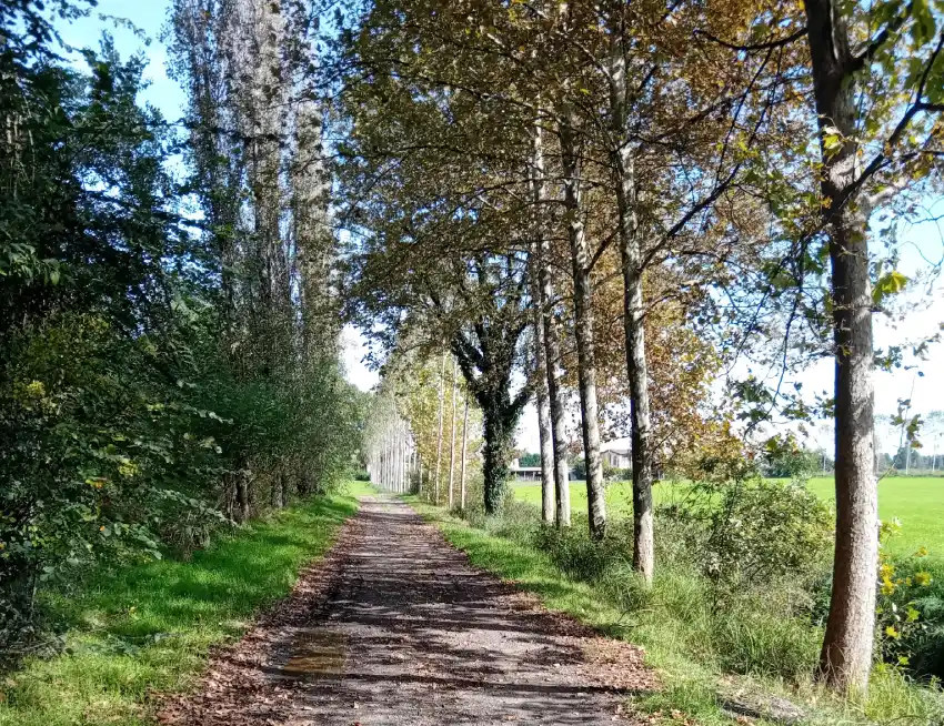 Ciclabile Vecchia Cremonese Lombardia Majavacchi