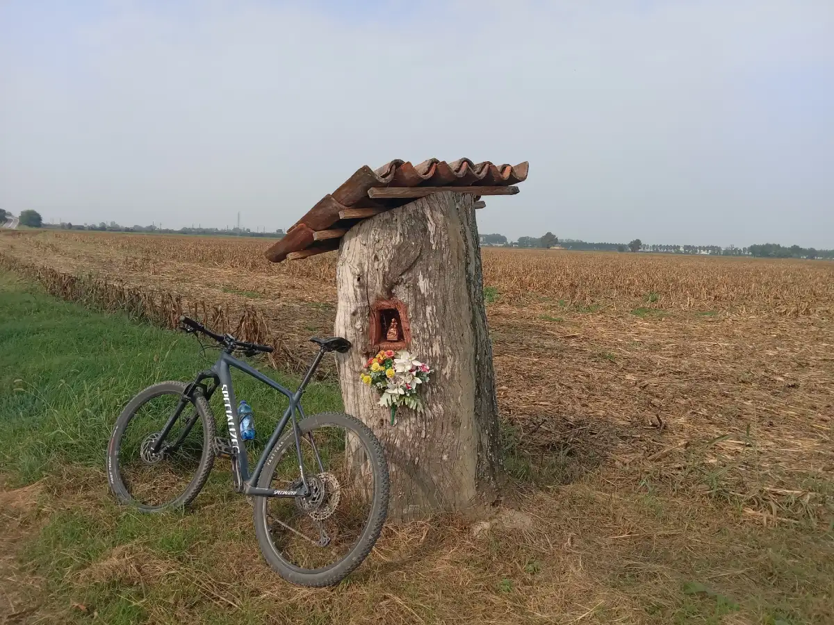 Madonnina tra Ossago e Bargano Lodigiano Lombardia di G.Majavacchi