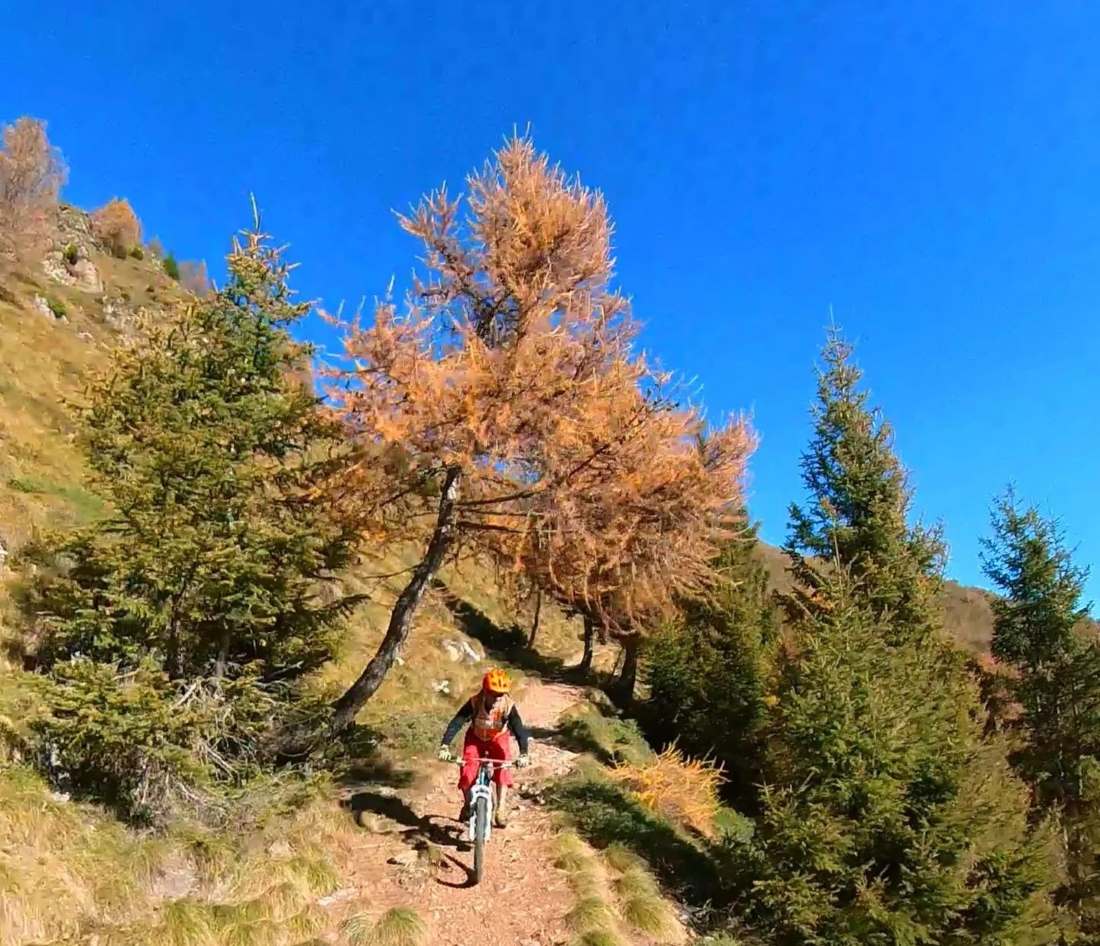 Mortirolo Lombardia Valle Camonica crediti https://www.facebook.com/@TurismoValleCamonica/