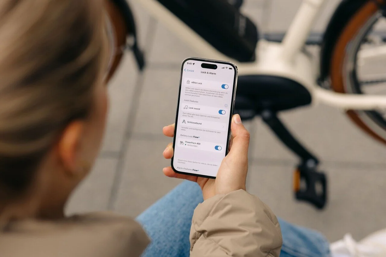 Display app Bosch