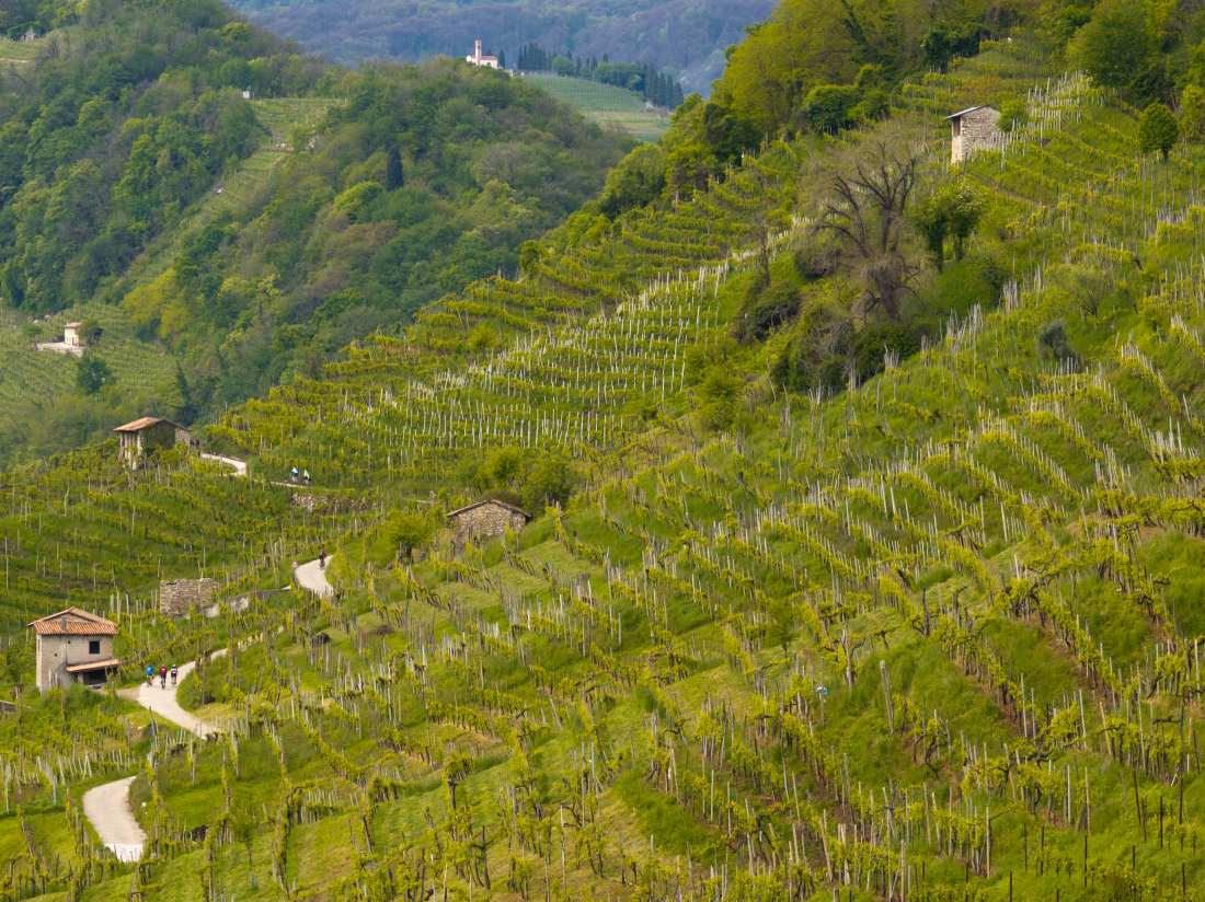 VIGNETI NOVA EROICA PROSECCO HILLS