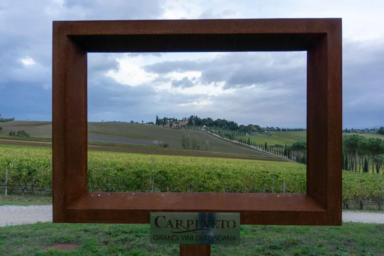 Toscana Val d'Orcia Tenuta Carpineto, vrediti Raffaella Cegna