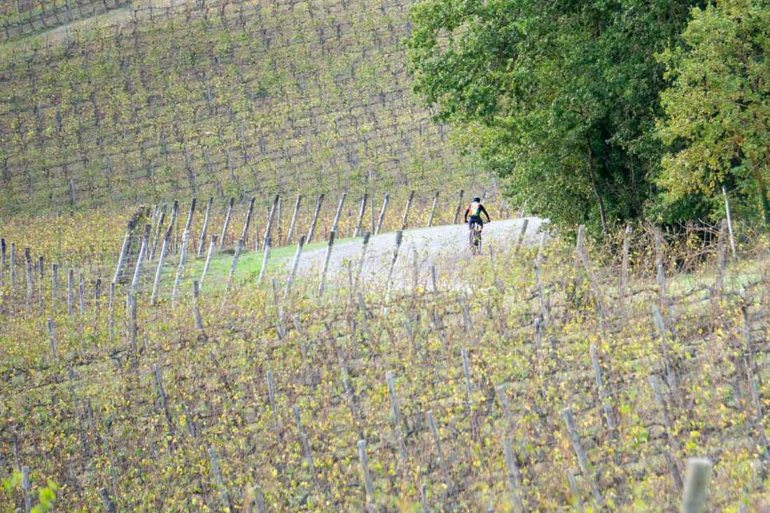 Toscana crediti Raffaella Cegna