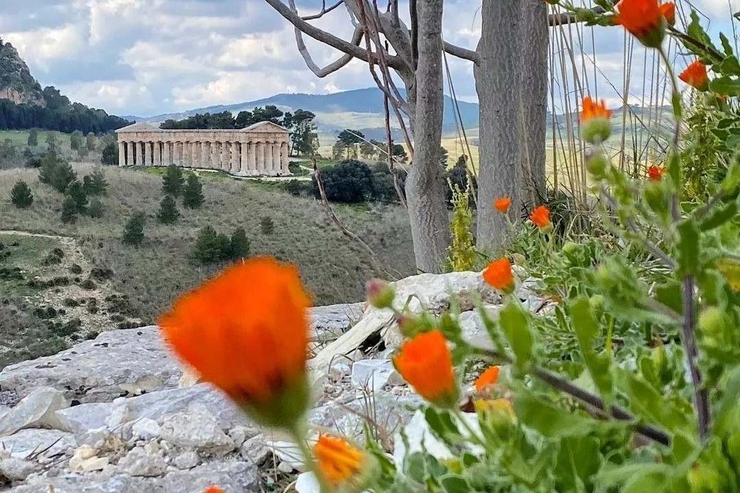 Segesta crediti Pillole di Sicilia