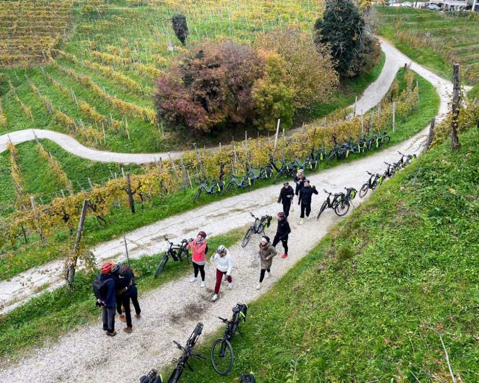 Colline del Prosecco tour di Treviso.bike