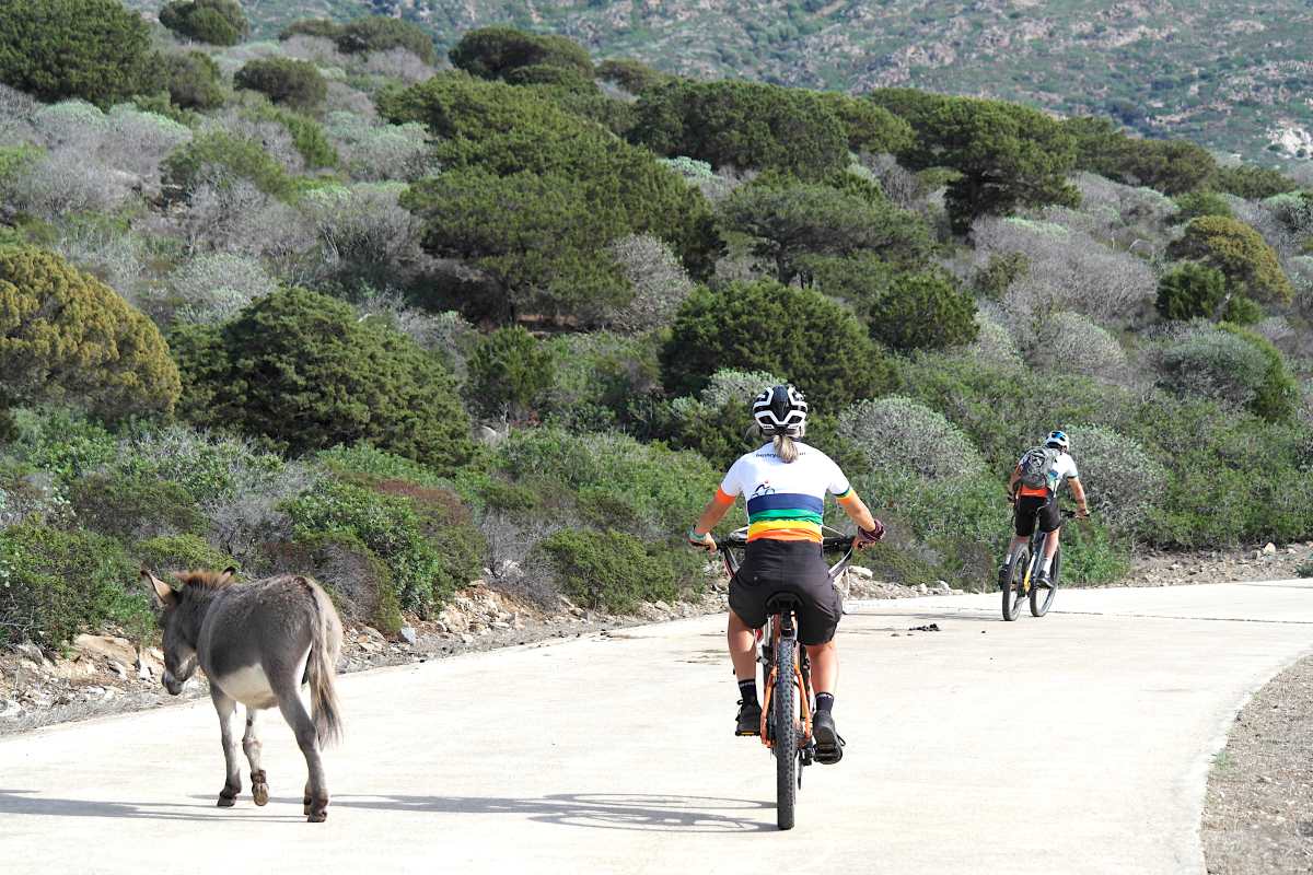 Cicloturismo in Sardegna