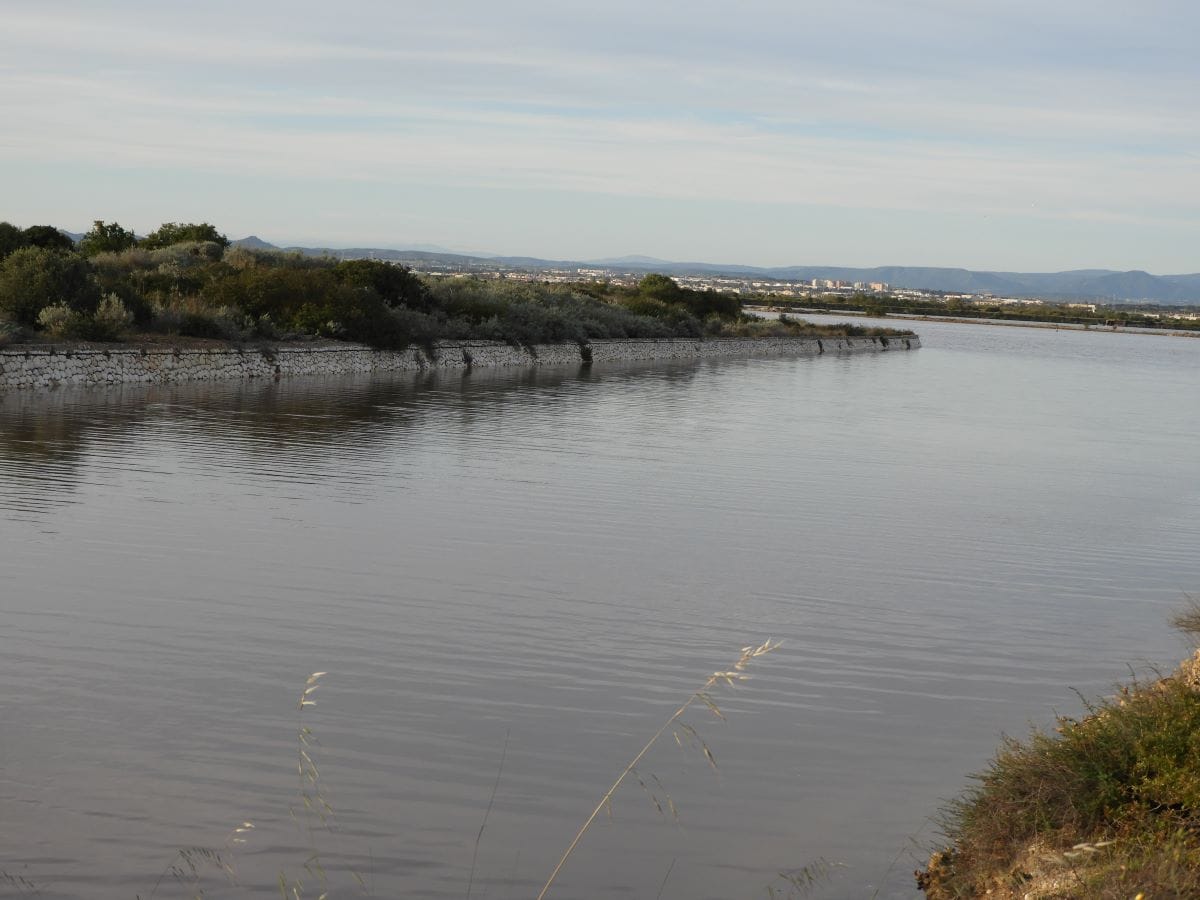Laguna Santa Gilla crediti Kety Piras