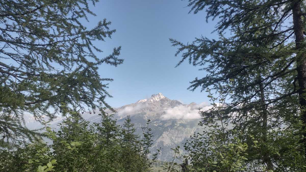 COLLE DI SAMPEYRE dettaglio Monviso crediti Davide Mazzocco