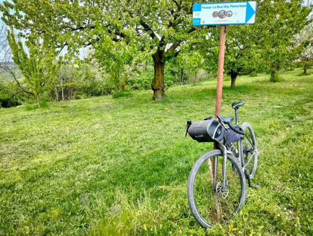 Blue Way Piemonte (Raffaella Cegna)