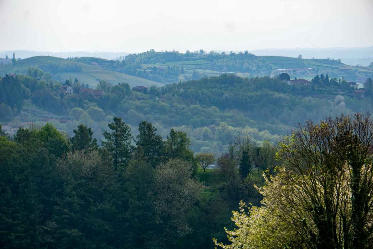 Colline Torinesi Oltre Collina (Raffaella Cegna)