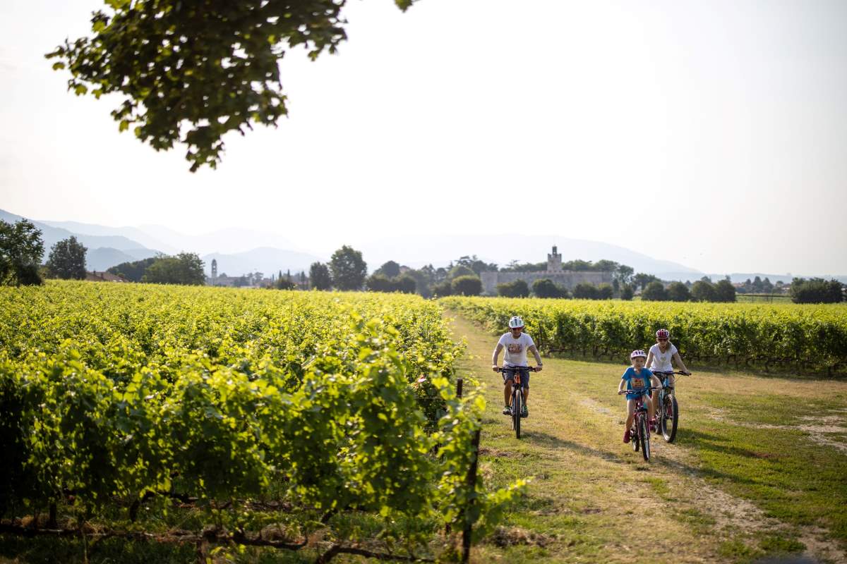 Cicloturismo e turismo sportivo: opportunità di crescita per il territorio