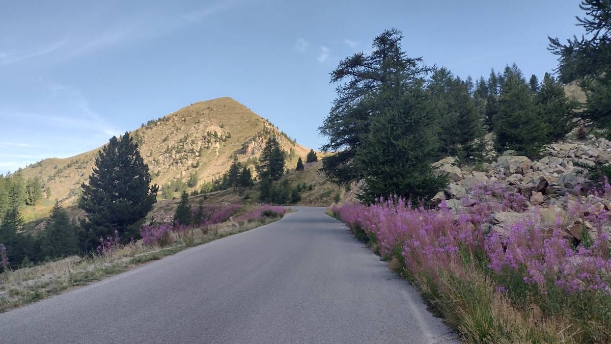 COL DE LA LOMBARDE - versante francese, crediti Davide Mazzocco