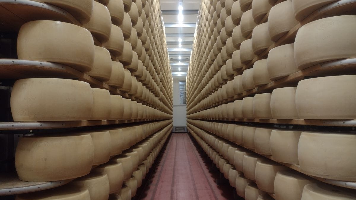 -Caseificio Sociale Bassa Parmense crediti Davide Mazzocco