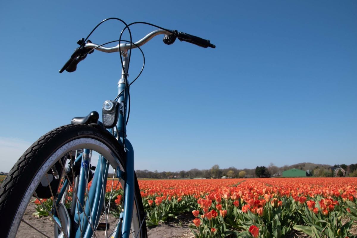 Olanda Bike Boat Tours