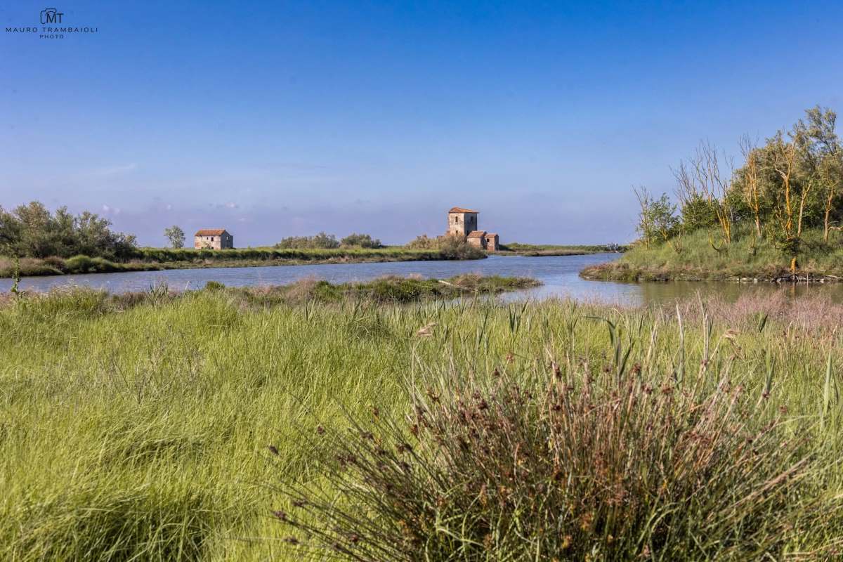 PArco Delta del Po crediti Mauro Trambaioli pagina Delta del Po