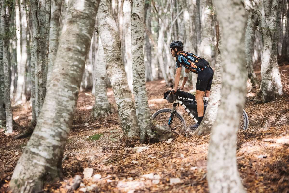 Marche trail alberi