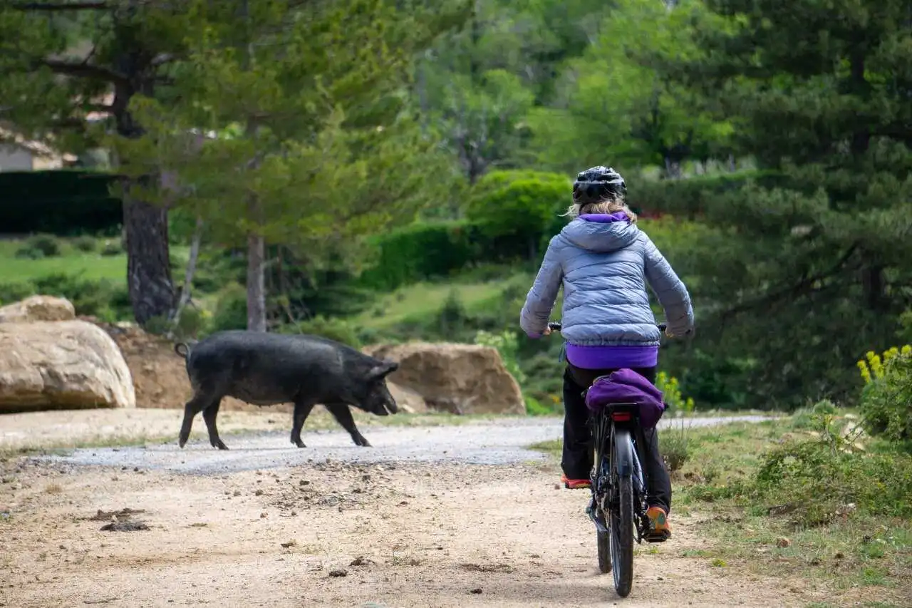 Quattro trolli in Corsica (Parte 6) – In bici tra Zonza, Porto Vecchio e Solenzara