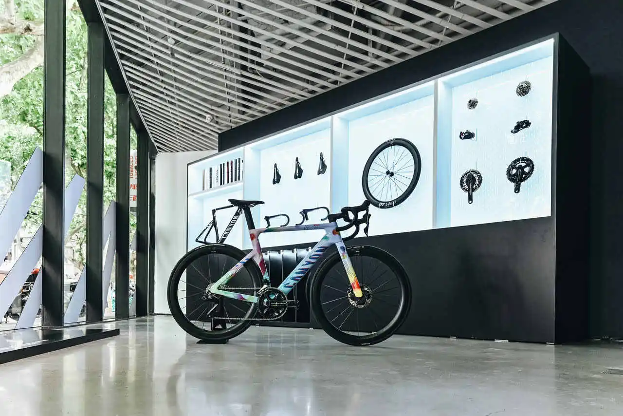 Servizio di personalizzazione bici Canyon MyCanyon